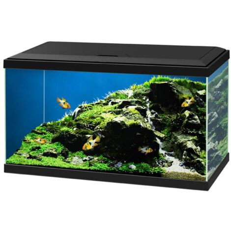 Acquario Rettangolare Diversa 50x30x30 Cm - Vetro 5mm, Capacità 45 Litri