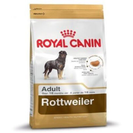 cibo che Royal Canin Rottweiler adulto adulto e cani maturi (da 18 mesi) - 12 kg