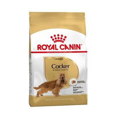 cibo che Royal Cocker Cocker Adult Breed Dogs Cocker Spaniel, inglese o americano, adulto e maturo (da 12 mesi) - 3 kg