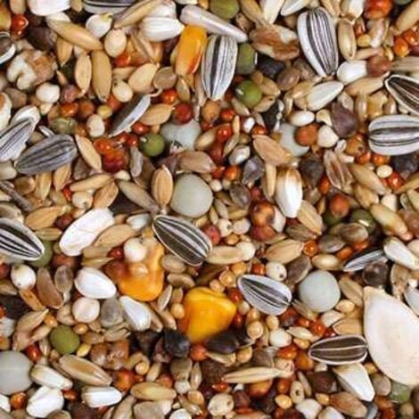 Cibo Jr Farm per Amazzoni, Pappagalli Grigi e altri grandi pappagalli arricchito con gusci di ostriche 1 kg