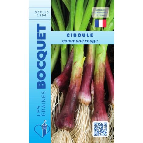 Ciboule commune rouge - 1g