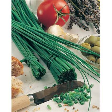 CIBOULETTE CHINOISE - Graines de légumes - 1 G