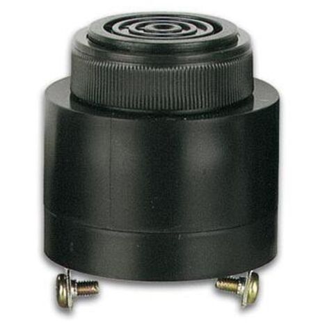 Cicalino non polarizzato ac/dc 220v connessione a vite