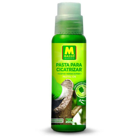CICATRIZANTE PASTA APLICADOR 250GR