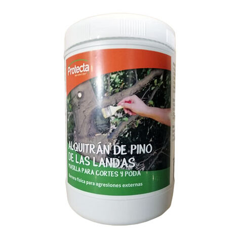 Mastic Cicatrisant Arbre Fruitier, 100G Baume Cicatrisant Bonsai, Mastic A  Greffer Pour Arbre Bonsaï Baume Pour Plaies Blessu[H3128] - Cdiscount  Bricolage