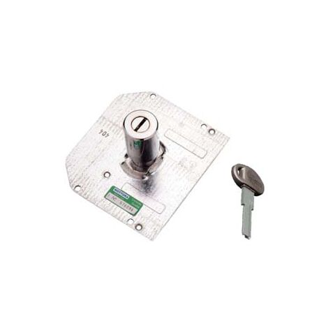 CILINDRI A POMPA PER SERRATURE CON 3 CHIAVI PIATTE Ø MM.34- - 91111C10 mm.60 adatto per 30.600 - 30.651 - 1 pezzi MOTTURA