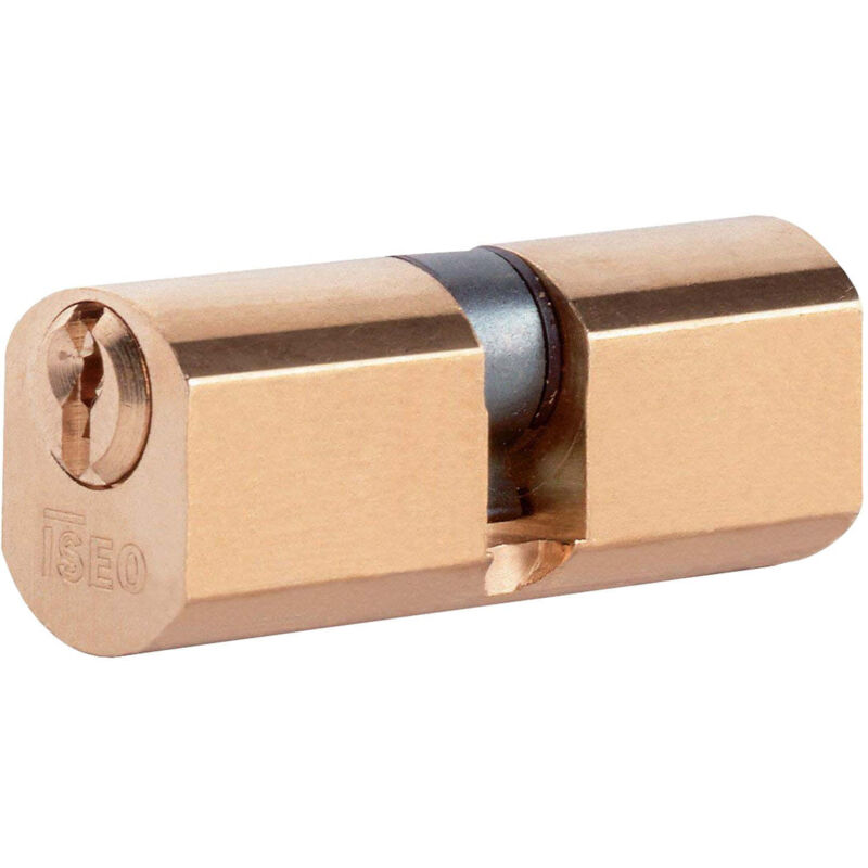 Is eacute Cilindro Iseo Mm.54 In Ottone A 5 Perni Serratura Da Fasc...