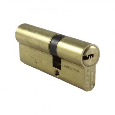 Cilindro di sicurezza TESA Europerfil T60/30x50 LT R15 con camma lunga