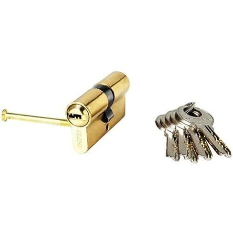 Cilindro di sicurezza Wolfpack 30x30 mm. Camma lunga in ottone con 5 chiavi