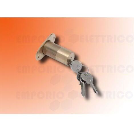 Cilindro Esterno Per Elettroserratura N 01 FAAC 712652001
