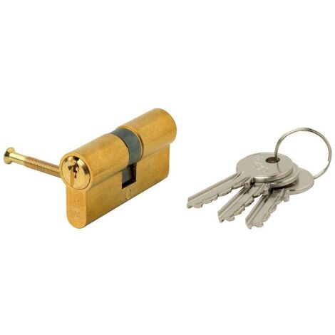 Cilindro Europeo Iseo F5 30x30 Ottonato Camma Lunga