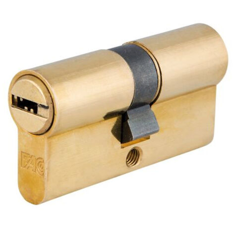 Cilindro Fac Seguridad 60-p 30x30 Latonado 15,0 mm.
