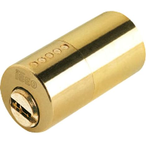 Cilindro iseo r6 seguridad para cerradura 510