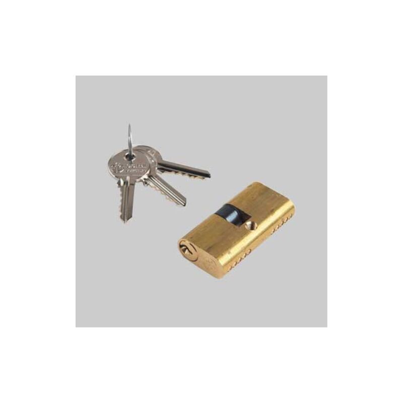 Cilindro ovale serie 090 corni 64 mm (32+10+22)