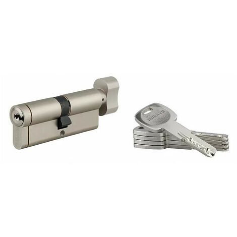 Cilindro profilato 00021938 Transit 1 40x40mm Thirard