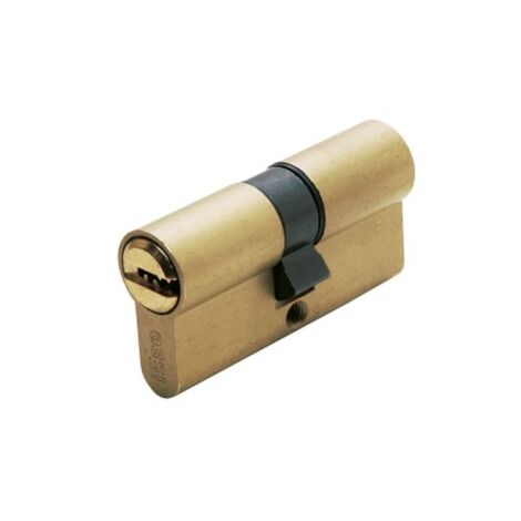Cilindro Seguridad 30X30Mm R6 Laton Leva Larga Iseo