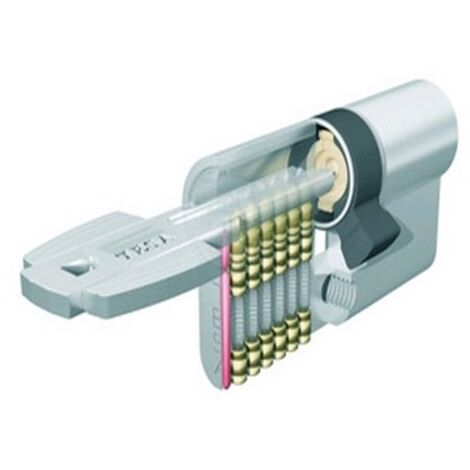 Cilindro Seguridad  30X45Mm T6553045N Niquel Leva larga Tesa