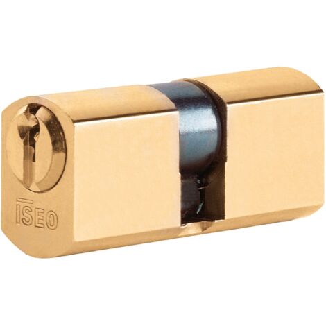 Cilindro sfaccettato doppio profilo 56mm centrale art 842028287 ISEO