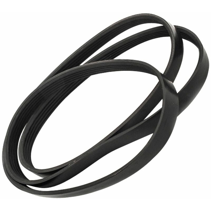 Cinghia 1260j5 - Lavatrice - HAIER - 2955223663946732861