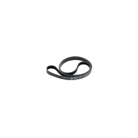 Cinghia 1995 - Lavatrice - INDESIT - 2881415053429068873