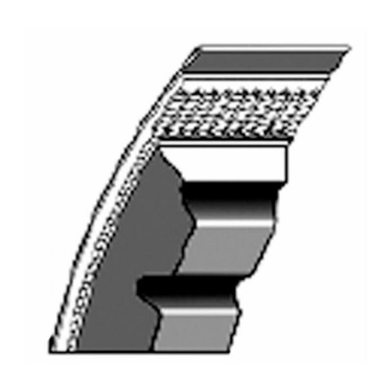 Image of Cinghia adattabile a rif. orig. Massey Ferguson 1687531M1 40650