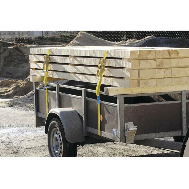 10x Arebos Serraggio Cinghia 800kg 6m 2 pezzi Cinturini Cinghia a cricchetto DIN en12195-2 0,8t