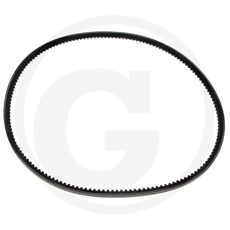 CINGHIA EX 820271