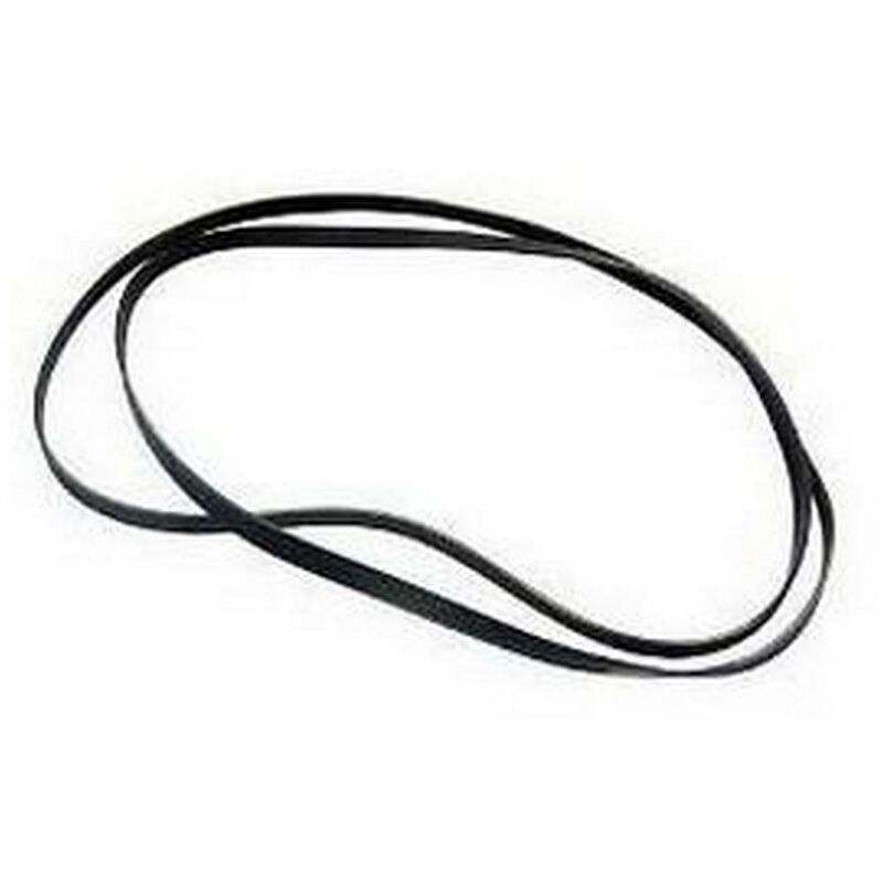 Cinghia - Lavatrice Beko 1951685054680125794