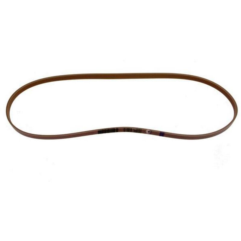 Cinghia - Lavatrice Electrolux 536425053429993731