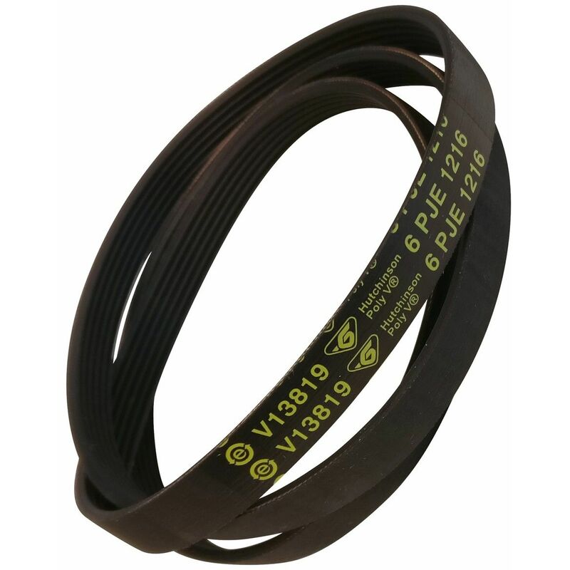 Cinghia - Lavatrice - HAIER - 2955053662894893556