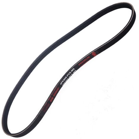 CINGHIA POLARE PK 4PK868