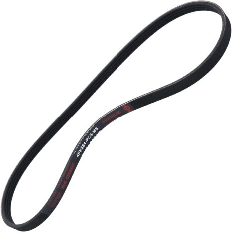 CINGHIA POLARE PK 4PK884