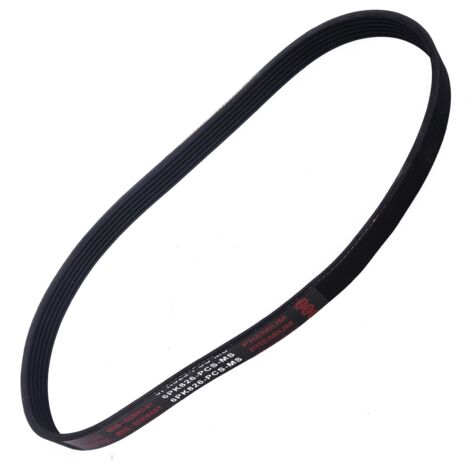 CINGHIA POLARE PK 6PK826