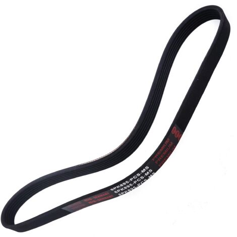 CINGHIA POLARE PK 6PK895