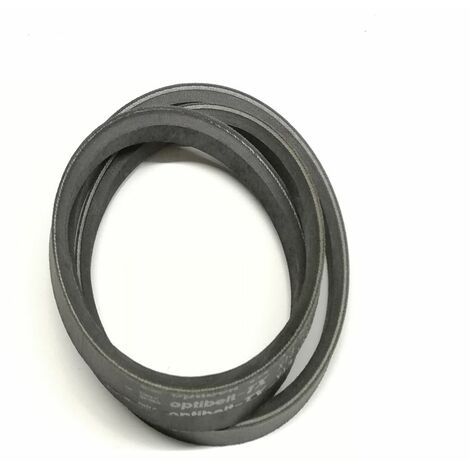 Cinghia riduttore Ecotech TRT 110 Swing / TRT 135 / TRT 135 Swing - 13230