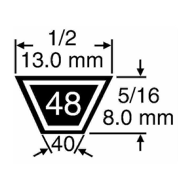 Cinghia standard 1/2'x 124' 34241
