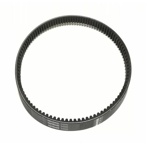 Cinghia  trasmissione Grillo Climber Serie 9 - 54592