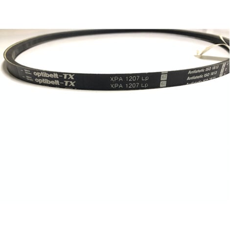 RAG Cinghia XPA 1207 6T67 di ricambio per Motocoltivatore P70 e P70 Evo Eurosystem - 341005377