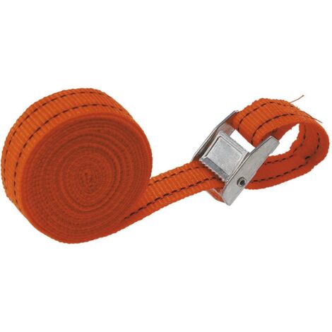 Cinghie per carichi 5 metri x 25 mm 2 pezzi topex 97x184