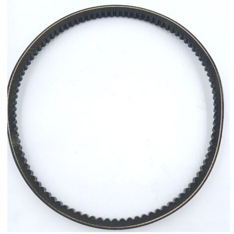 CINGHIE RICAMBIO PER TORNIO LEMAN TAB 085