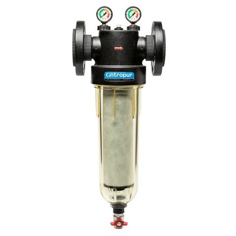 Cintropur – Filtre à média filtrant pour eau – Débit 25 m³/h – Tamis filtrant 25 microns – Raccordement 2'1/2 – Pression max 16 bar - NW650
