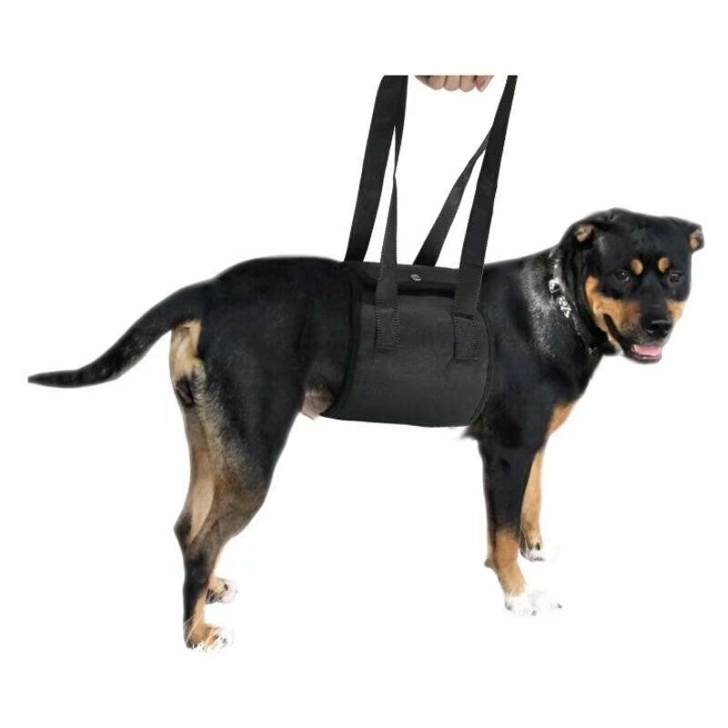 Cintura per il trasporto dell'animale domestico