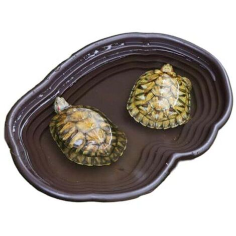 Ciotola per acqua per tartarughe con rampa 15x11x2 pollici Discatura bassa per rettili Liscia Facile da lavare Multiuso in ABS per tartarughe Geco Serpente, Marrone, Tartaruga