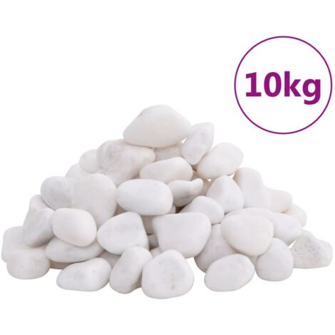 Ciottoli Levigati 10 kg Bianchi 2-5 cm vidaXL