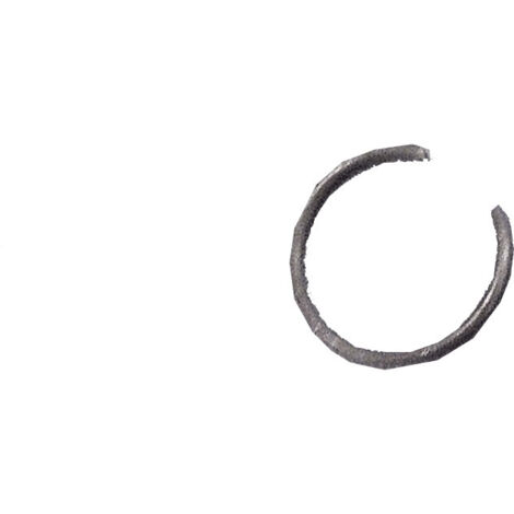 Circlip