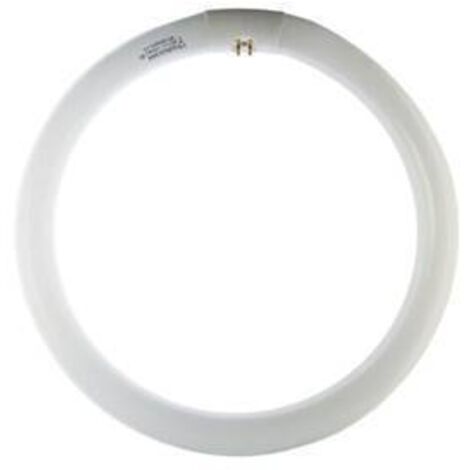 CIRCOLINA 40W G10Q 2800LM 6500K - 12 pezzi