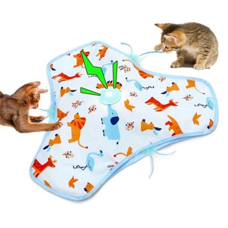 Circuit du chat