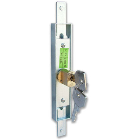 Cisa 41650-00-0 Serratura Cancellet.Estens