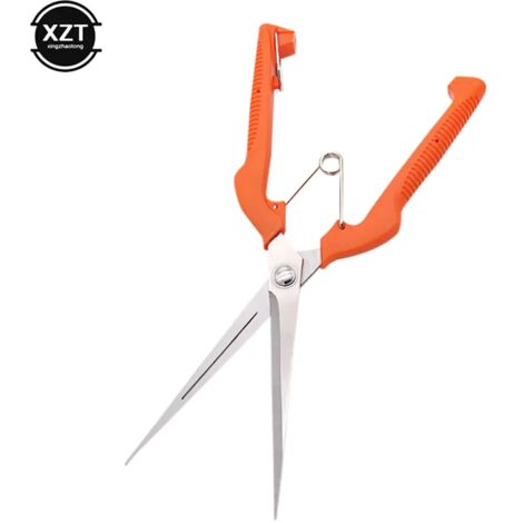Cisaille à fruits grande taille, outils de jardin en acier inoxydable, cisaille à fruits, cisaille à éclaircir, outils à main-AquaForge