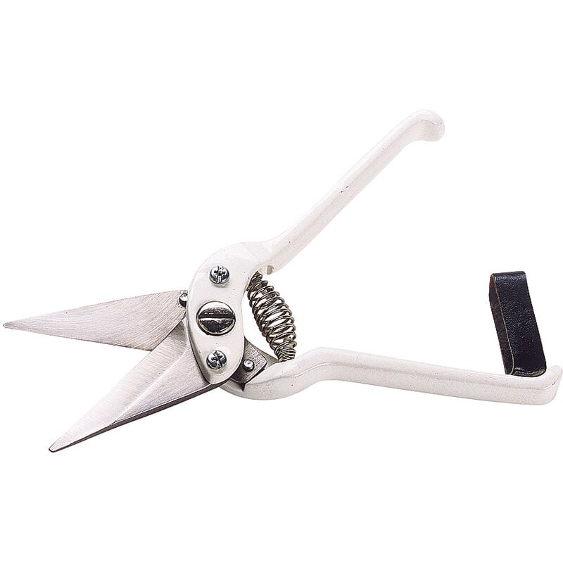 Kamer - Cisaille onglons pour mouton blanche lames non crantées